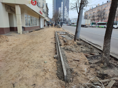 Поврежденные деревья, недоделанный тротуар – почему всё так плохо с ремонтом плитки на Плехановской