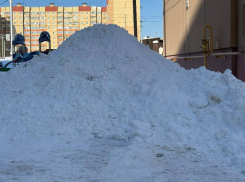 Улицы в центре Воронежа перекроют для вывоза снега