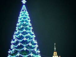 Скандальную елку на площади Ленина в Воронеже разберут 26 января