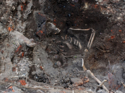 Мэрию предупреждали! Накануне 9 Мая останки бойца ВОВ случайно выкопаны на стройплощадке Воронежа