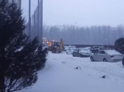  Большой петушок работает: воронежцы взялись за лопаты по совету депутата Сысоева