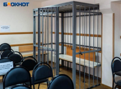 Униженные похитители 11-летнего мальчика отправлены в СИЗО в Воронежской области