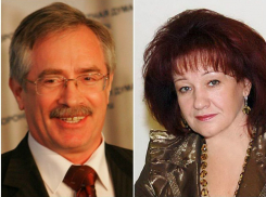 Жена депутата Вериковского задекларировала «Лексус», с которым столкнулся инвалид-колясочник