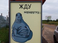 Знаменитый Ждун стал символом остановки под Воронежем