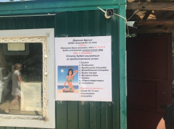 Алчность бесплатного пляжа раскрыл воронежский посетитель