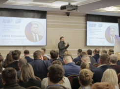 В Воронеж съехался высший партийный свет ЛДПР: почему и зачем?