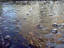 Воронежцев на рабочей неделе ждет похолодание и дожди