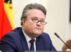 Чего хочет мэр Кстенин от новой Общественной палаты Воронежа