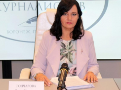 Главу воронежской Госжилинспекции виртуально провожают в отставку