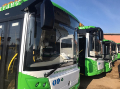 Ещё два воронежских автобуса изменят свои маршруты с 5 апреля