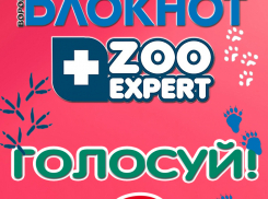 Голосование за победителя конкурса «Я и мой любимец» началось!