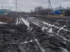 Полузабытая чиновниками дорога держит в заложниках воронежские Островки