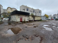 «Грязевые ванны» по пути к остановке смутили воронежцев