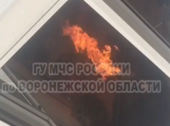 Приготовление шашлыков на балконе во время самоизоляции сняли в Воронеже 