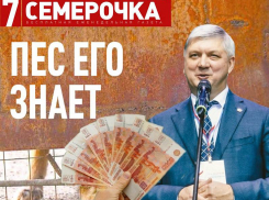 РИА «Воронеж» раскрыло расходы областного бюджета на бесплатные «Семерочку» и «Слова»