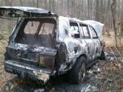 В Воронеже на Ломоносова сожгли «Лексус»