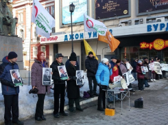 Воронежцы вышли к кинотеатру «Пролетарий» почтить память Бориса Немцова 