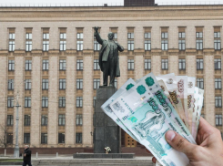 Ни одного бюджетного рубля не удалось сэкономить на чиновничьем пиаре в Воронеже