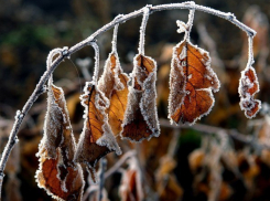 В Воронеже на выходных будет холодно