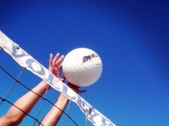 В День знаний в Воронеже пройдет большой спортивный праздник