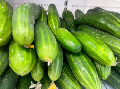 Выше российского уровня оказался январский рост цен в Воронежской области