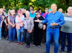 Возведением логоцентра около Нагорной дубравы под Воронежем заинтересовался глава СКР