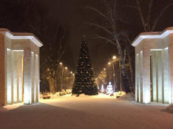 Воронежцам рассказали, когда в парках торжественно откроют новогодние елки