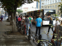 В Воронеже по-прежнему не решена проблема с фактическим отсутствием остановки на Плехановской (ФОТО)
