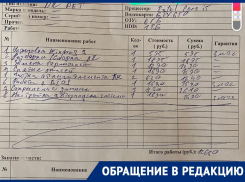 «Не наступите на мои грабли»: баснословный счёт за ремонт компьютера ужаснул жительницу Воронежа