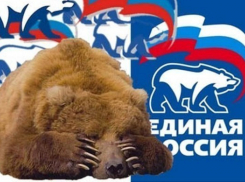 Воронежская «Единая Россия» скрывает результаты праймериз от общественности