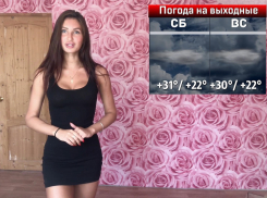 Тропосферный гребень принесет 30-градусную жару на выходных в Воронеж