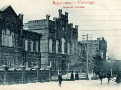 Училище, которое закончил архитектор Троицкий, 145 лет назад открылось в Воронеже