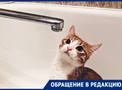 В «коммунальное рабство» попали жители многоэтажек под Воронежем