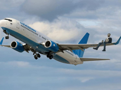 Эксцентричного воронежского бизнесмена «посадили» на крыло «Победы» 