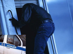 В Воронежской области 18-летний вор спрятал алкоголь и сигареты под деревом