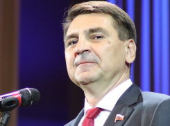 Воронежский депутат Госдумы разработал законопроект против «гряземесов»