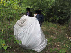 В Воронежской области наркополиция в поле нашла тайники с 75 кг марихуаны