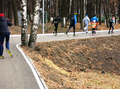 Под Воронежем хотят построить лыжероллерную трассу за 51 млн рублей