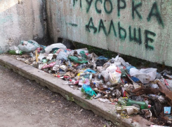Скоро мусоровоз сядет на пузо: лютая антисанитария царит на Машмете в Воронеже