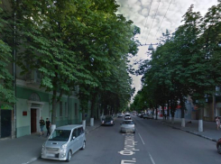 Уникальная каштановая аллея может стать жертвой нового стадиона в центре Воронежа 
