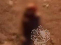 Труп студента воронежского колледжа обнаружили под окнами общежития