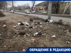 «Стыдно за свой город»: найдено место, где привычка оказалась сильнее любви к Воронежу