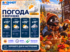 Осень радует: прогноз погоды в Воронеже