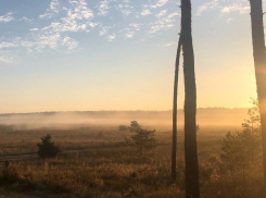 Нестабильная погода ожидает воронежцев к концу рабочей недели