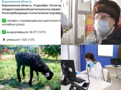 Коронавирус в Воронеже 10 декабря: тысяча смертей, возможность закрытия региона и ежедневная «горячая линия»