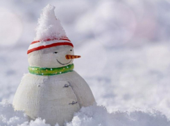 Синоптики рассказали, вернется ли в Воронеж зима