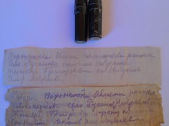 В Новгородской области нашли останки участника ВОВ из Воронежа