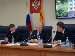 Суд выяснит, может ли Воронежская горДума прятать Анну Царалунгу