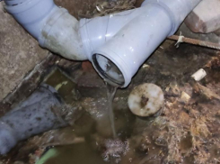 ГЖИ объявило предостережение РВК и УК после внепланового спуска в воронежский подвал 