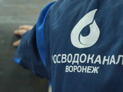 Сколько утечек устранили за сутки, рассказали в «РВК-Воронеж»